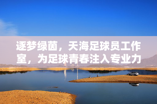 逐梦绿茵，天海足球员工作室，为足球青春注入专业力量，逐梦绿茵，天海足球员工作室，为足球青春注入专业力量