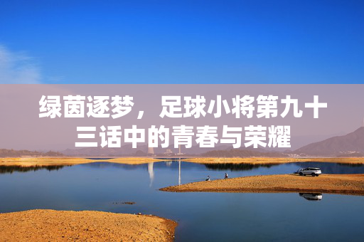绿茵逐梦，足球小将第九十三话中的青春与荣耀