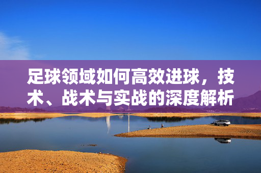 足球领域如何高效进球,技术、战术与实战的深度解析,足球高效进球,技术、战术与实战的深度解析