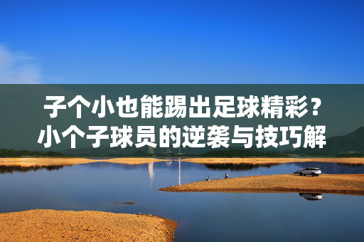 子个小也能踢出足球精彩?小个子球员的逆袭与技巧解析,小个子球员的足球逆袭,技巧解析与精彩表现