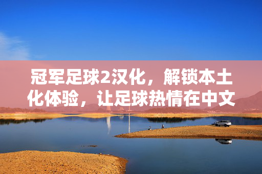 冠军足球2汉化,解锁本土化体验,让足球热情在中文世界里再燃
