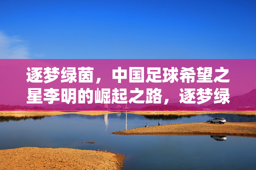 逐梦绿茵，中国足球希望之星李明的崛起之路，逐梦绿茵，中国足球希望之星李明的崛起之路