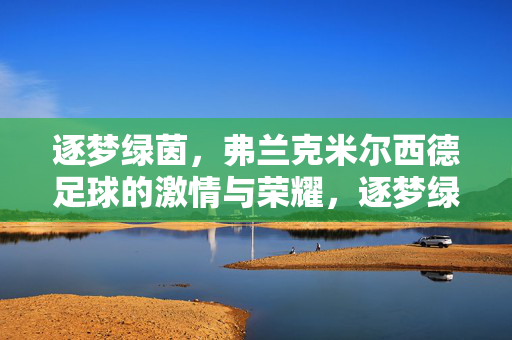 逐梦绿茵，弗兰克米尔西德足球的激情与荣耀，逐梦绿茵，弗兰克米尔西德足球的激情与荣耀