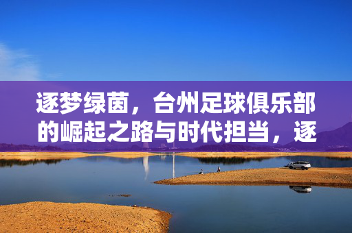 逐梦绿茵，台州足球俱乐部的崛起之路与时代担当，逐梦绿茵，台州足球俱乐部的崛起之路与时代担当