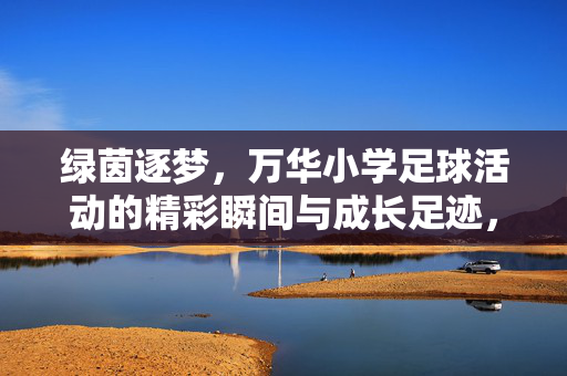 绿茵逐梦，万华小学足球活动的精彩瞬间与成长足迹，绿茵逐梦，万华小学足球活动的精彩瞬间与成长足迹