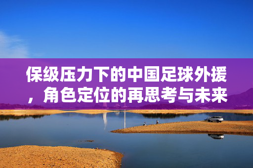 保级压力下的中国足球外援,角色定位的再思考与未来路径