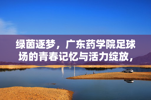 绿茵逐梦，广东药学院足球场的青春记忆与活力绽放，绿茵逐梦，广东药学院足球场的青春记忆与活力绽放