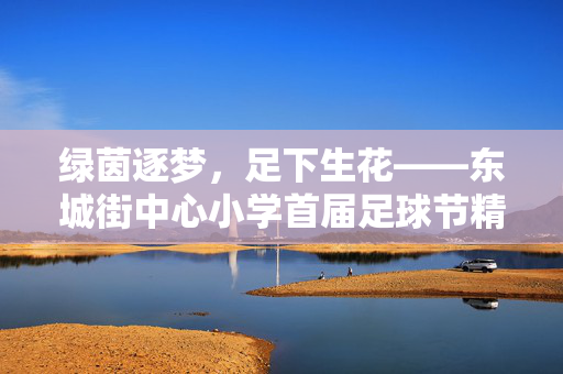 绿茵逐梦，足下生花——东城街中心小学首届足球节精彩回顾