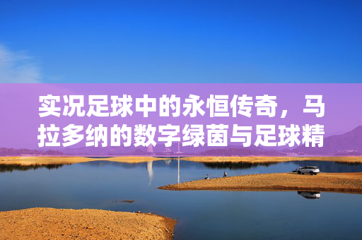 实况足球中的永恒传奇，马拉多纳的数字绿茵与足球精神的传承，实况足球中的永恒传奇，马拉多纳的数字绿茵与足球精神传承