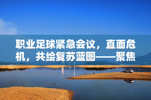 职业足球紧急会议，直面危机，共绘复苏蓝图——聚焦职业足球当前挑战与未来方向，职业足球紧急会议，直面危机，共绘复苏蓝图——聚焦职业足球当前挑战与未来方向