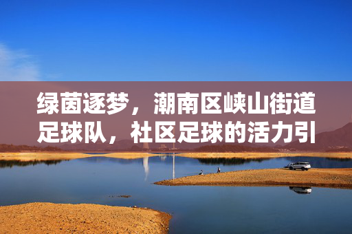 绿茵逐梦,潮南区峡山街道足球队,社区足球的活力引擎与精神纽带