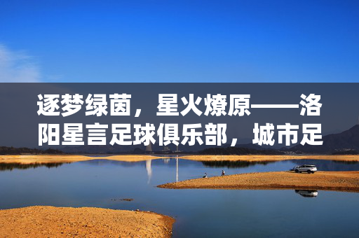 逐梦绿茵，星火燎原——洛阳星言足球俱乐部，城市足球的新生力量与青春活力的绽放，逐梦绿茵，星火燎原——洛阳星言足球俱乐部，城市足球的新生力量与青春活力的绽放