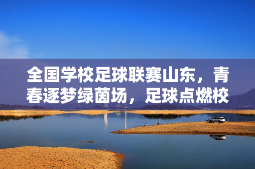 全国学校足球联赛山东，青春逐梦绿茵场，足球点燃校园活力，全国学校足球联赛山东，青春逐梦绿茵场，足球点燃校园活力