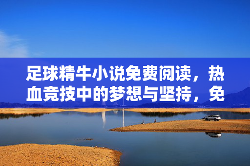 足球精牛小说免费阅读，热血竞技中的梦想与坚持，免费阅读让足球魅力触手可及，足球精牛小说免费阅读，热血竞技里的梦想与坚持，尽享足球魅力