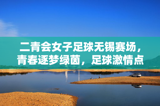 二青会女子足球无锡赛场,青春逐梦绿茵,足球激情点燃新希望,二青会女子足球无锡赛场,青春逐梦绿茵,足球激情点燃新希望
