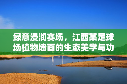 绿意浸润赛场，江西某足球场植物墙面的生态美学与功能融合——体育场馆的绿色新风尚实践，绿意浸润赛场，江西某足球场植物墙面的生态美学与功能融合——体育场馆的绿色新风尚实践