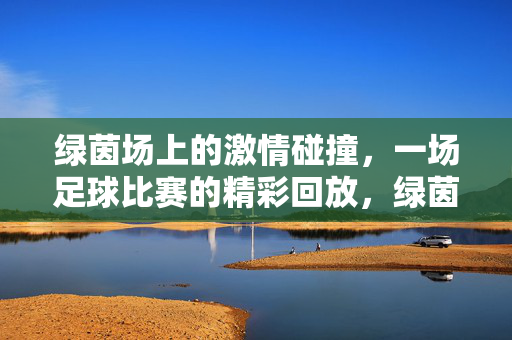 绿茵场上的激情碰撞，一场足球比赛的精彩回放，绿茵场上的激情碰撞，一场足球比赛的精彩回放