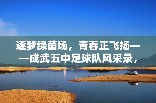 逐梦绿茵场，青春正飞扬——成武五中足球队风采录，逐梦绿茵场，青春正飞扬——成武五中足球队风采录