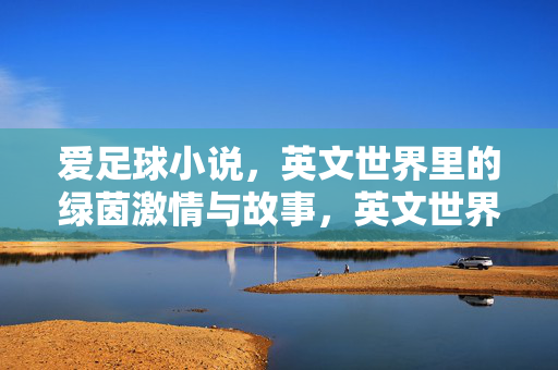 爱足球小说，英文世界里的绿茵激情与故事，英文世界里的绿茵激情与故事，足球小说的精彩叙事
