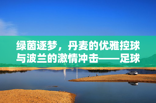 绿茵逐梦，丹麦的优雅控球与波兰的激情冲击——足球文化中的北欧与中东欧对话，绿茵逐梦，丹麦的优雅控球与波兰的激情冲击——足球文化中的北欧与中东欧对话