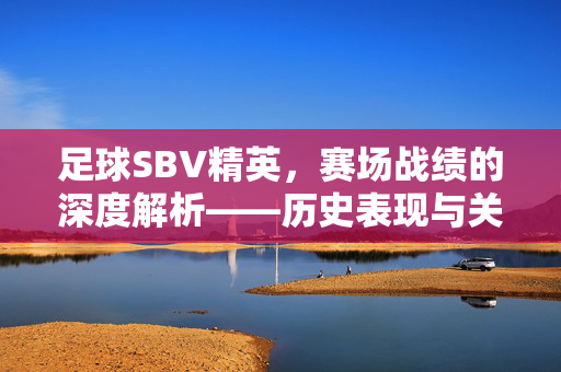 足球SBV精英，赛场战绩的深度解析——历史表现与关键成就的梳理