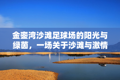 金銮湾沙滩足球场的阳光与绿茵，一场关于沙滩与激情的邂逅