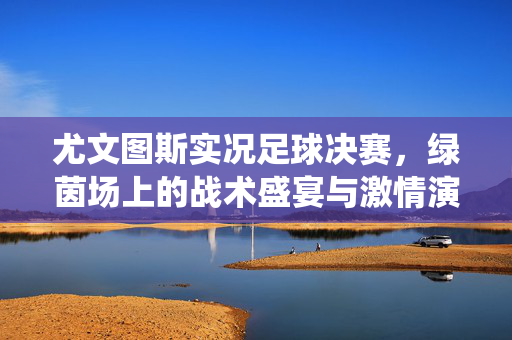 尤文图斯实况足球决赛，绿茵场上的战术盛宴与激情演绎，尤文图斯实况足球决赛，绿茵场上的战术盛宴与激情演绎