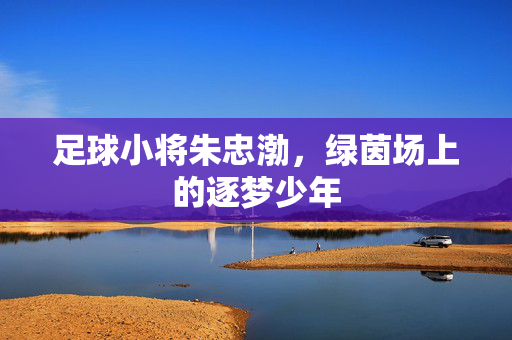 足球小将朱忠渤，绿茵场上的逐梦少年