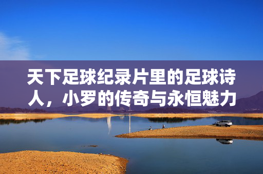 天下足球纪录片里的足球诗人，小罗的传奇与永恒魅力