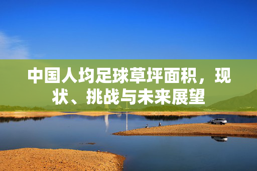 中国人均足球草坪面积，现状、挑战与未来展望