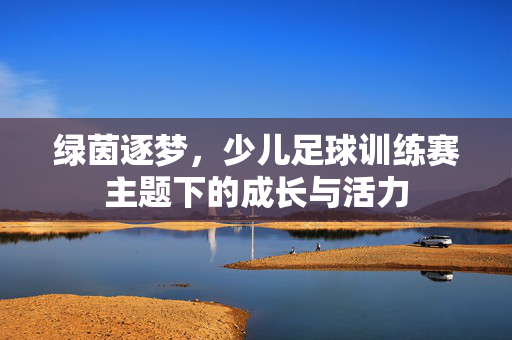 绿茵逐梦，少儿足球训练赛主题下的成长与活力