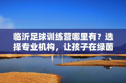 临沂足球训练营哪里有？选择专业机构，让孩子在绿茵场上绽放潜能