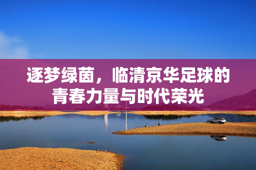 逐梦绿茵，临清京华足球的青春力量与时代荣光