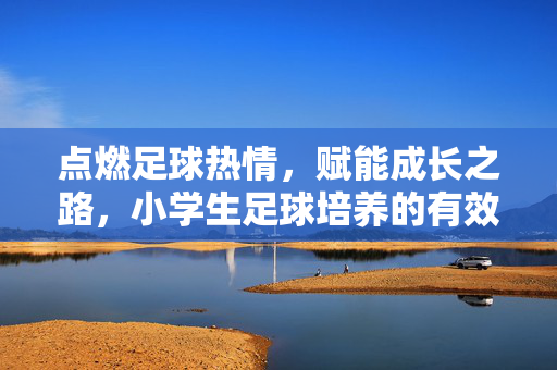 点燃足球热情，赋能成长之路，小学生足球培养的有效策略与实践