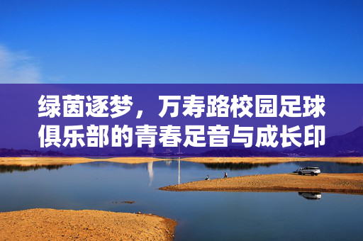 绿茵逐梦，万寿路校园足球俱乐部的青春足音与成长印记，绿茵逐梦，万寿路校园足球俱乐部的青春足音与成长印记