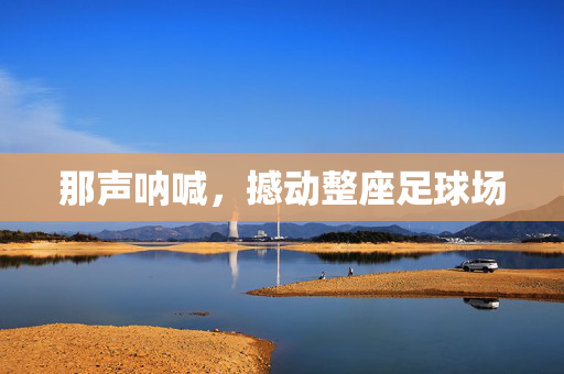 那声呐喊，撼动整座足球场