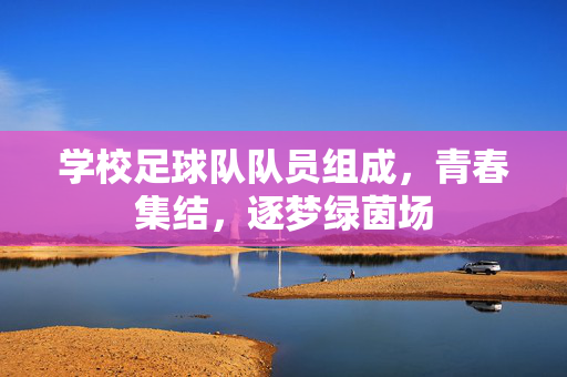 学校足球队队员组成，青春集结，逐梦绿茵场
