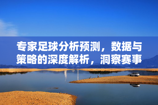 专家足球分析预测，数据与策略的深度解析，洞察赛事走向，专家足球分析预测，数据与策略深度解析，洞察赛事走向