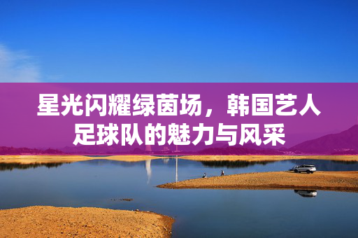 星光闪耀绿茵场，韩国艺人足球队的魅力与风采