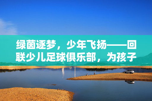 绿茵逐梦，少年飞扬——回联少儿足球俱乐部，为孩子的足球梦想插上翅膀，绿茵逐梦，少年飞扬——回联少儿足球俱乐部，为孩子的足球梦想插上翅膀