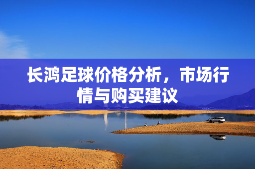 长鸿足球价格分析，市场行情与购买建议