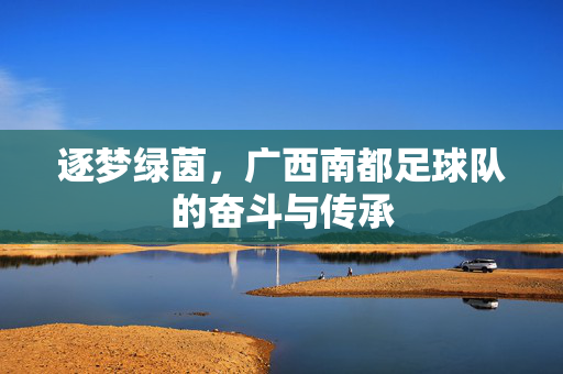 逐梦绿茵，广西南都足球队的奋斗与传承