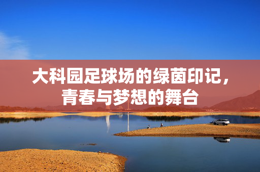 大科园足球场的绿茵印记,青春与梦想的舞台