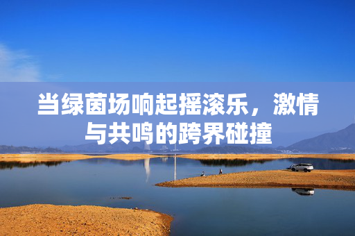 当绿茵场响起摇滚乐，激情与共鸣的跨界碰撞