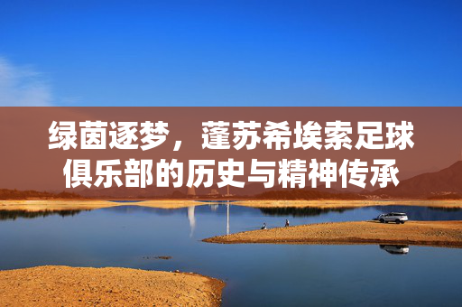 绿茵逐梦，蓬苏希埃索足球俱乐部的历史与精神传承