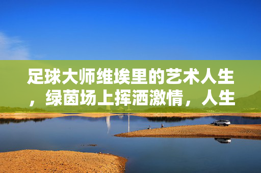 足球大师维埃里的艺术人生，绿茵场上挥洒激情，人生舞台绽放智慧，足球大师维埃里，绿茵激情与人生智慧的艺术人生