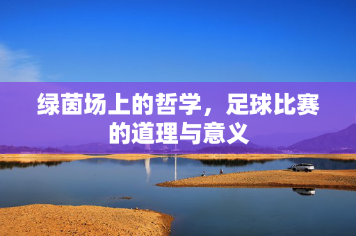 绿茵场上的哲学，足球比赛的道理与意义