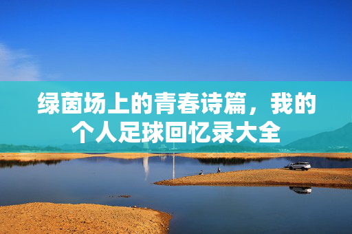 绿茵场上的青春诗篇，我的个人足球回忆录大全