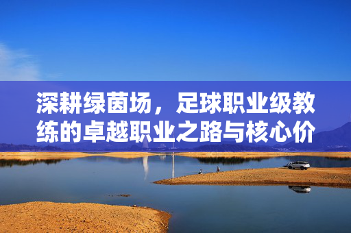 深耕绿茵场,足球职业级教练的卓越职业之路与核心价值