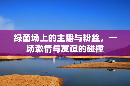 绿茵场上的主播与粉丝，一场激情与友谊的碰撞